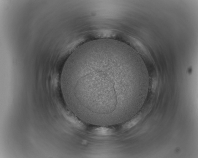 X0000091960326200709131232