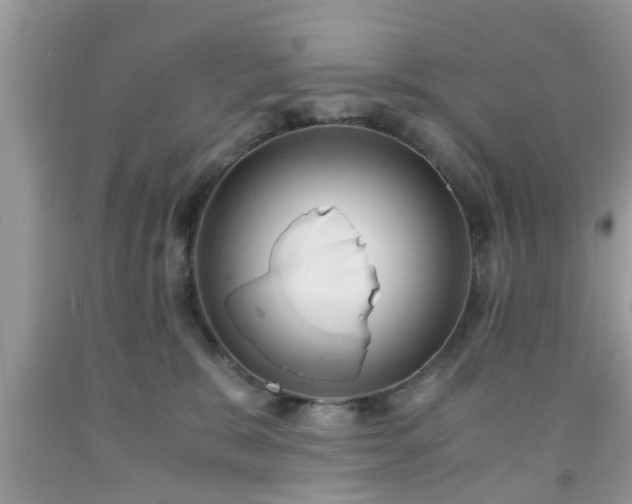 X0000091960327200709131232