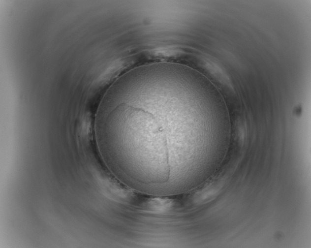 X0000091960328200709131232