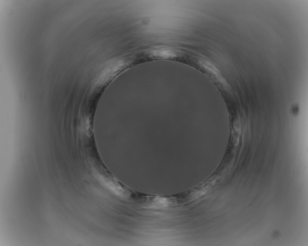 X0000091960330200709131232