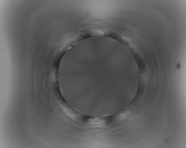 X0000091960331200709131232