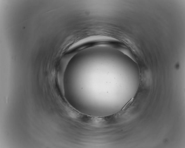 X0000091960333200709131232