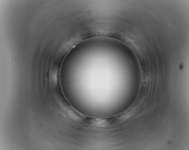 X0000091960334200709131232