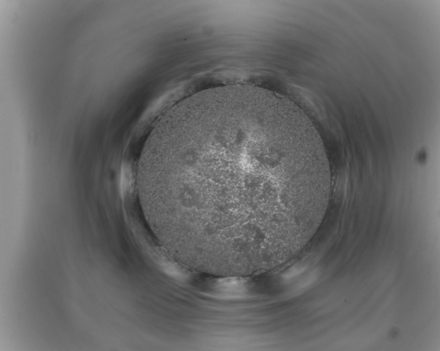 X0000091960335200709131232