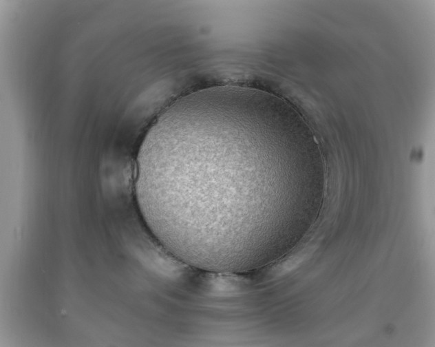 X0000091960336200709131232