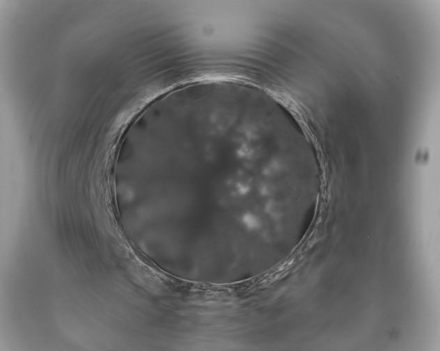 X0000091960337200709131231