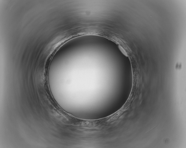 X0000091960338200709131231