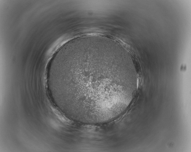 X0000091960339200709131231