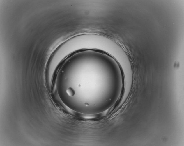 X0000091960340200709131231