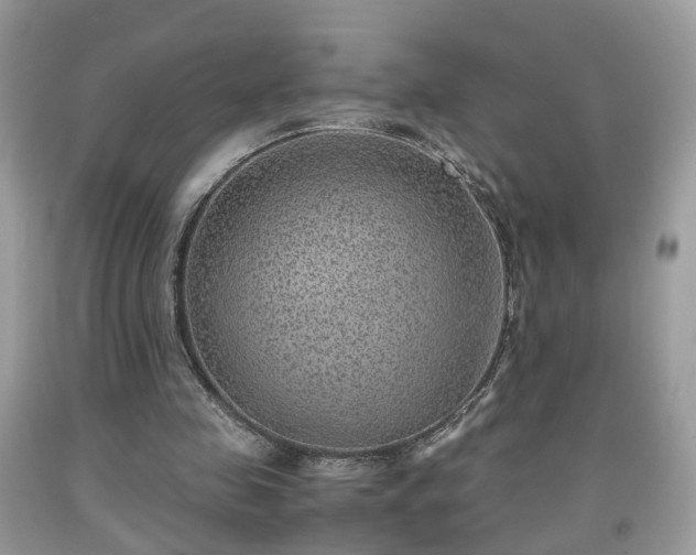 X0000091960341200709131231