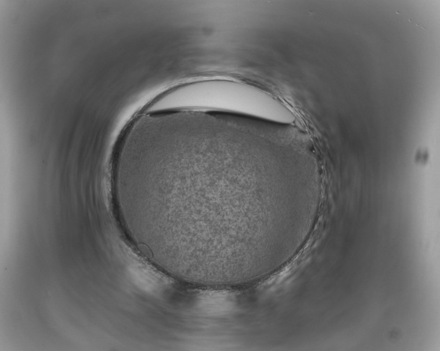 X0000091960342200709131231