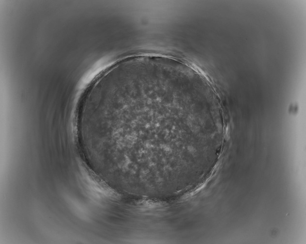 X0000091960343200709131231