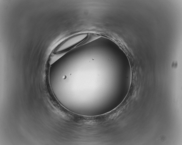 X0000091960344200709131231