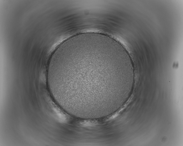 X0000091960345200709131231