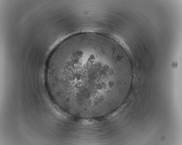 X0000091960346200709131231