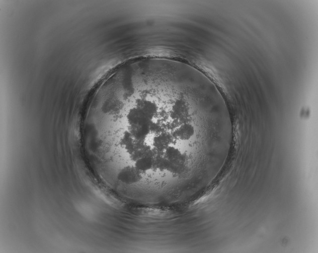 X0000091960347200709131231