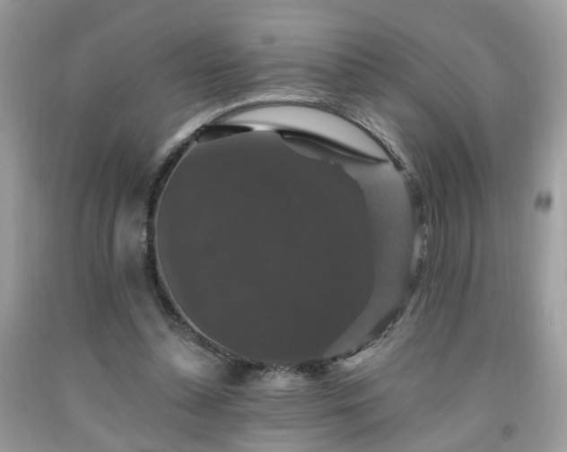 X0000091960348200709131231