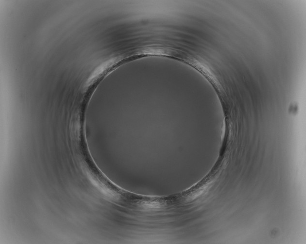 X0000091960349200709131231