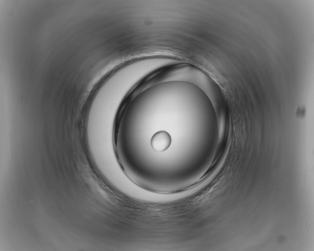 X0000091960350200709131231