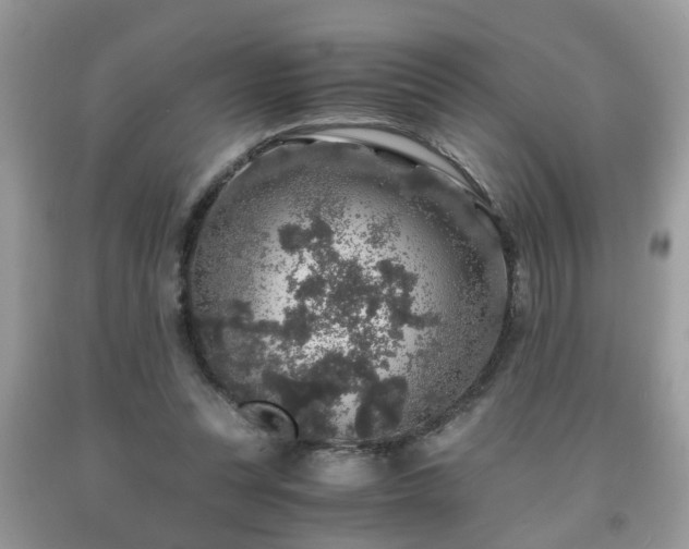 X0000091960351200709131231