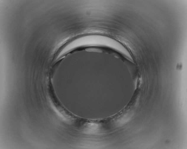 X0000091960352200709131231