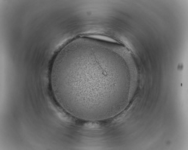 X0000091960354200709131231