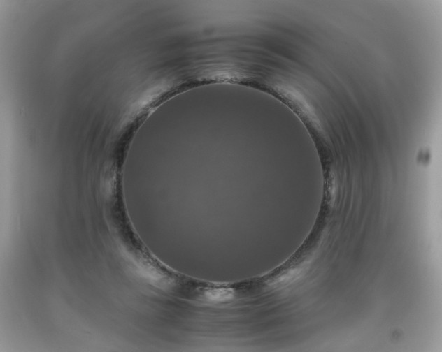 X0000091960355200709131231