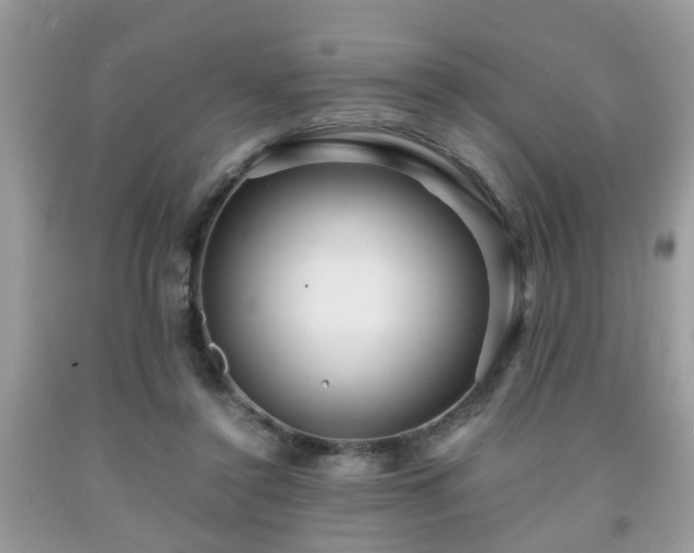 X0000091960356200709131231