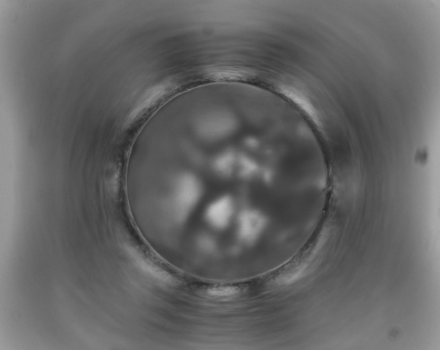 X0000091960357200709131231