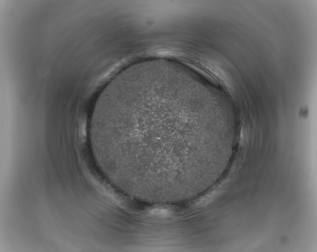 X0000091960358200709131231