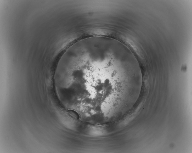 X0000091960359200709131231