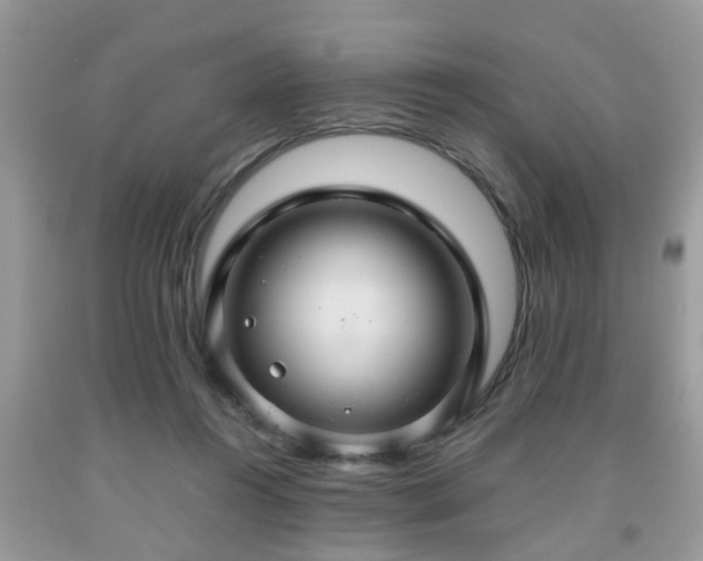 X0000091960360200709131231