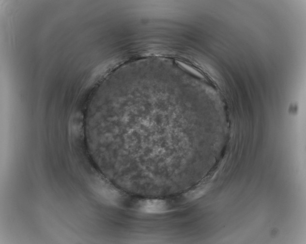 X0000091960361200709131231