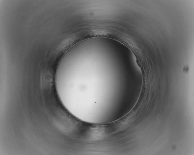 X0000091960362200709131231