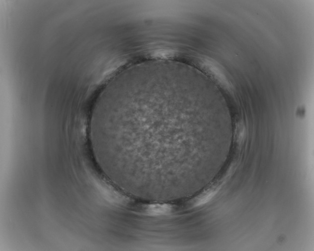 X0000091960363200709131232