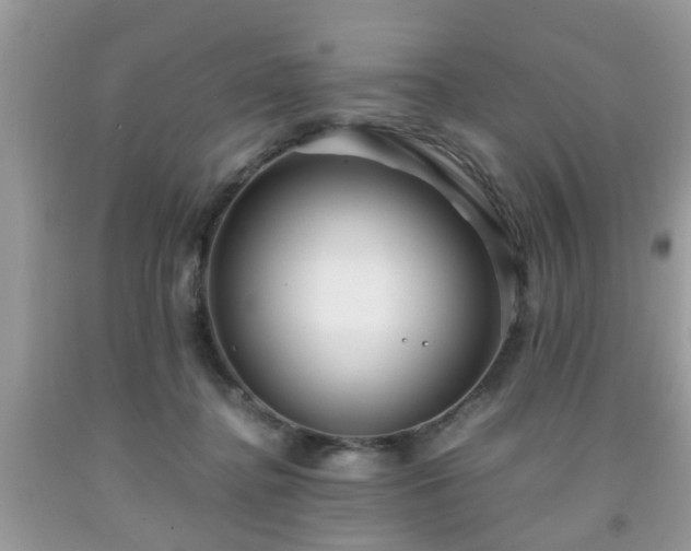 X0000091960364200709131232