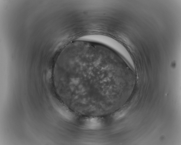 X0000091960365200709131232