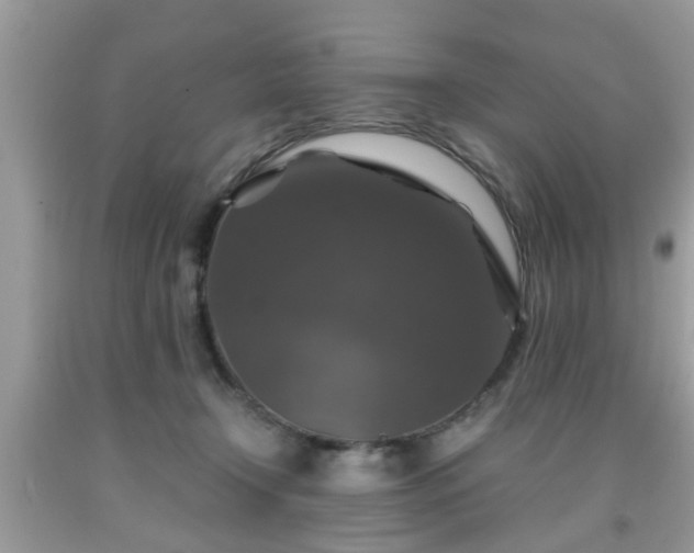 X0000091960366200709131232