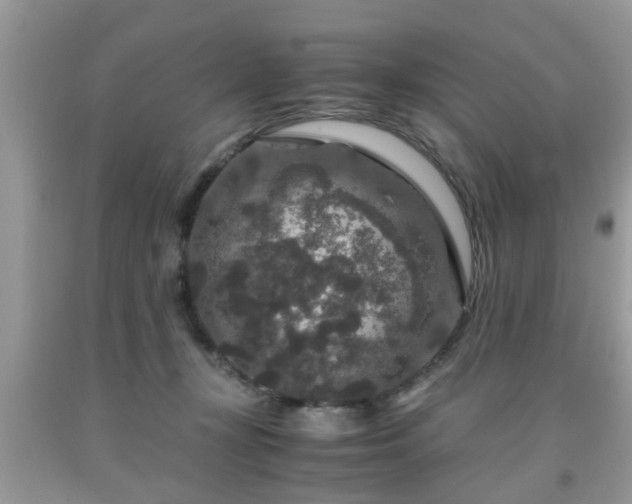 X0000091960367200709131232