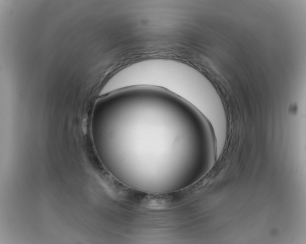 X0000091960368200709131232