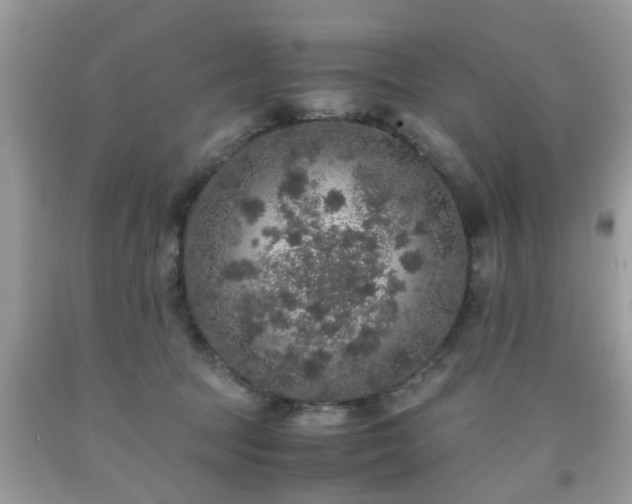 X0000091960369200709131232