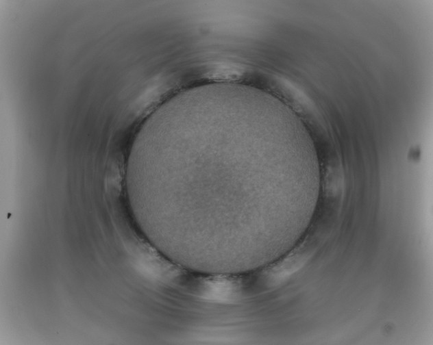 X0000091960370200709131232