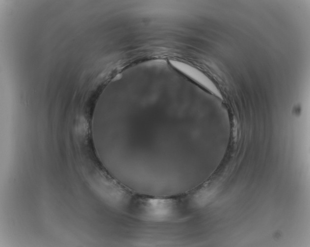 X0000091960371200709131232