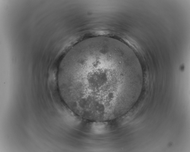 X0000091960373200709131232