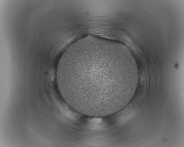 X0000091960374200709131232