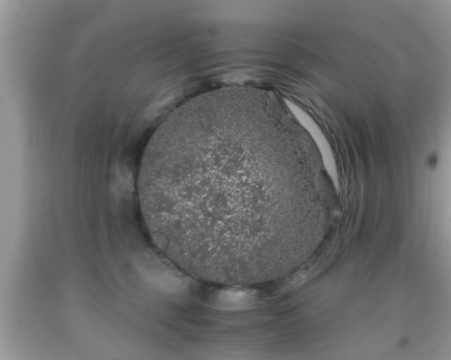 X0000091960375200709131232