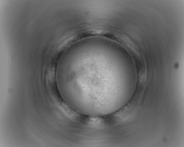 X0000091960376200709131232