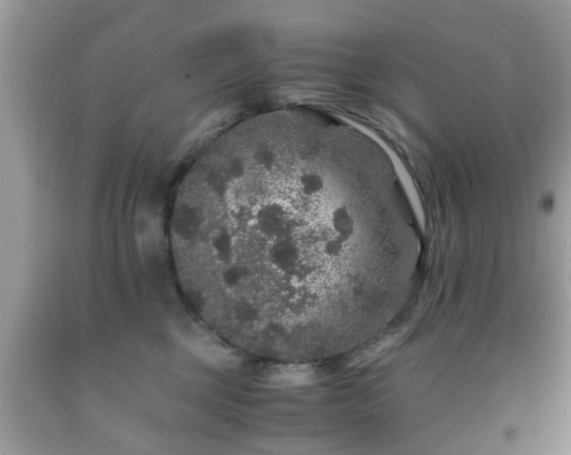 X0000091960377200709131232