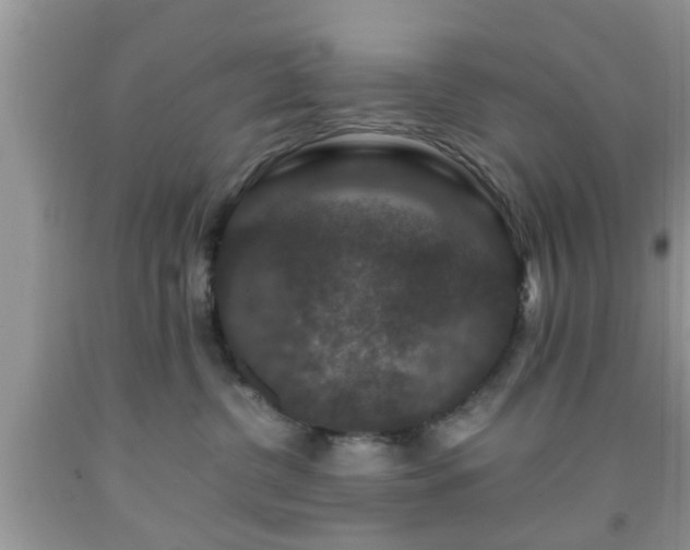 X0000091960380200709131232