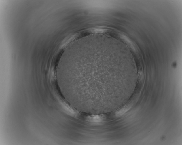 X0000091960381200709131232